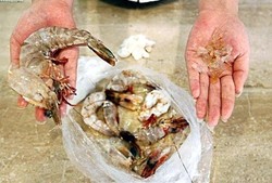 Udang Suntik Gelatin Jadi Skandal Makanan Baru di Tiongkok