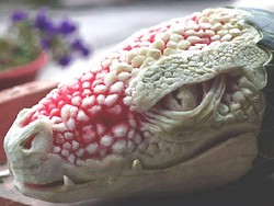 Wah! Semangka Berubah Jadi Kepala Naga