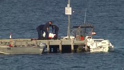 Tragis! Disaksikan Anaknya, Diver Ini Diserang Hiu & Tewas