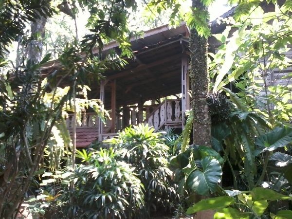 Liburan Hijau Ala Kampung 99 Pepohonan Depok