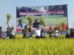 Cegah Petani Jual Padi ke Tengkulak, Mentan Siapkan Truk Bulog