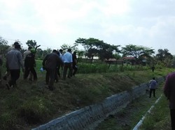 Ini Penampakan Sawah Kering di Sragen yang Ditinjau Mentan Amran