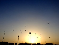 Sunrise Menawan di Pesisir Laut Merah