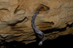 Inikah Gua Paling Mengerikan di Dunia?