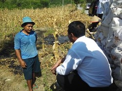 Ini yang Bikin Mentan Amran Geram Soal Impor Jagung