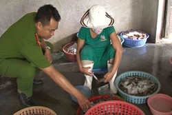 Polisi Vietnam Bongkar Perdagangan Udang Mati yang Disuntik Bahan Kimia