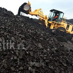 Harga Batu Bara Anjlok, 60% Perusahaan Batu Bara RI Setop Produksi