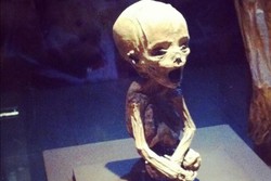 Museum di Meksiko Punya Mumi Terkecil di Dunia