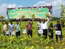 Mentan Beri Petani Pupuk dan Benih Gratis, Tapi Ada Syaratnya