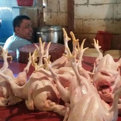 Harga Ayam Pasca Lebaran Naik Jadi Rp 40.000/Ekor, Ini Penyebabnya