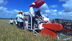 Rencana Merauke Jadi Lumbung Pangan Sudah Ada Sejak Zaman Belanda