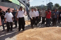 Mentan Amran Lepas Ekspor Jagung 12 Ribu Ton ke Filipina