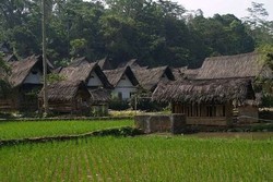 Musim Kekeringan, Kementan: 90% Sawah Sudah Diselamatkan
