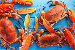 Agar Foto Makanan Cantik Menggiurkan, Ikuti 12 Tips dari Fotografer Ini (1)