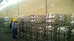 RI Tahan Ekspor, Harga Timah Dunia Melambung