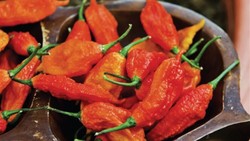 Huahh! Es Krim Vanila Plus Ghost Pepper Ini Jadi Es Super Pedas