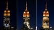 Gedung Empire State Tampilkan Singa Cecil dan Hewan Lain yang Terancam Punah