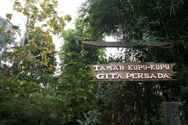 Liburan Asyik di Taman Kupu-kupu Bandar Lampung