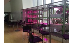 Tanam dan Panen Tumbuhan Bisa Dilakukan Lewat Perangkat Komputer Ini