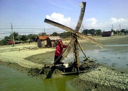 Menteri Susi Ingin Impor Garam Dipangkas 50%