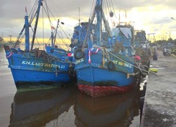 32 Pemilik Kapal Kena Sanksi Susi, dari Peringatan Hingga Izin Dibekukan