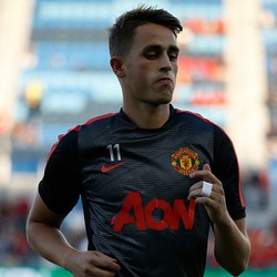 Januzaj Ditaksir Sunderland