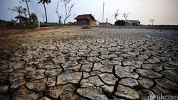 Meski Ada El Nino, Pemerintah Belum Putuskan Impor Beras