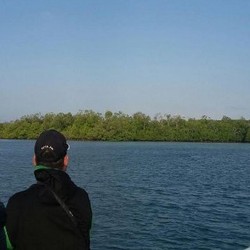 Ini Fasilitas yang Bakal Dibangun di Pulau Perawan Karantina Sapi Impor