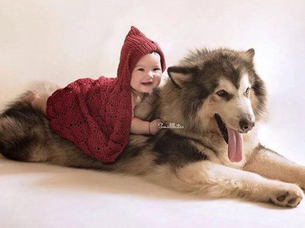 Foto Putri Gading-Gisel dan Anjing Malamut Alaska Ini Gemes Banget!