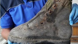 45 Tahun Hilang di Pegunungan Alpen, Jasad 2 Pendaki Jepang Ditemukan