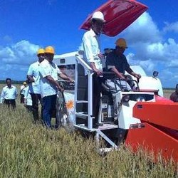 Pembangunan Lumbung Pangan di Merauke Hadapi Masalah Adat