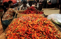 Kemarau Panjang, Cabai Rawit di Jakarta Dijual Rp 70.000/Kg