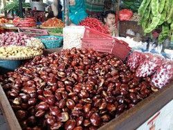 Harga Jengkol di DKI Rp 50.000/Kg, Daging Ayam Cuma Rp 40.000