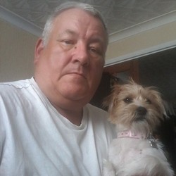 Turis Digigit Laba-laba Beracun di Spanyol, Kaki Bengkak Parah