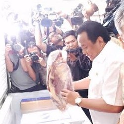 Mendag Gobel Sebut Feedloter Tahan Pasokan Sapi