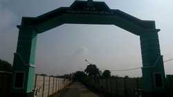 Berani Potong Sapi, RPH Terancam Kena Sanksi oleh Pemasok