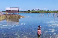 Sekeping Surga Jatuh di Wakatobi