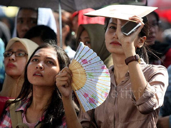 Ribuan Pencari Kerja Antre di Job Fair