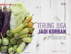 Terung Juga jadi Korban