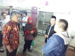 Ketua KPPU Blusukan ke Rumah Jagal, Ini Hasilnya