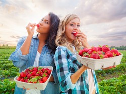 Jaga Kebugaran Tubuh Saat Udara Panas dengan Konsumsi Makanan Enak Ini (2)