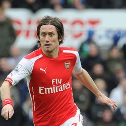 Jalani Operasi Lutut, Rosicky Menepi Dua Bulan