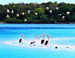 Mau Tahu Indahnya Maluku Utara? Cek Dulu di Instagram