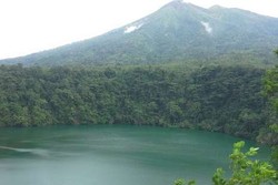 Menguak Misteri Buaya Putih di Danau Tolire Besar