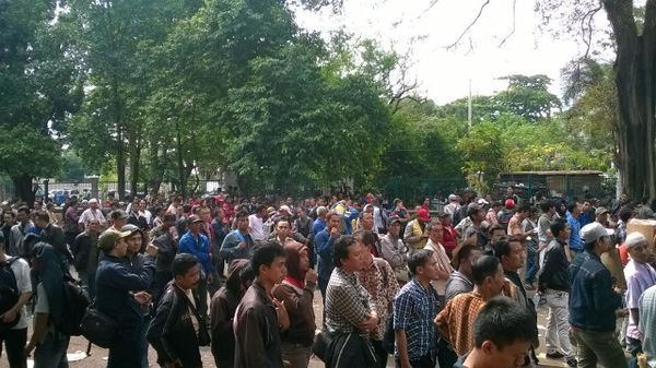 Ribuan Warga Ramai-ramai Daftar Go-Jek
