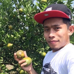 Andik dan Kebun Jeruknya