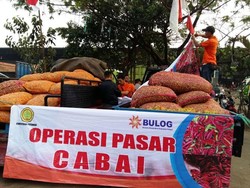 Cabai Tembus Rp 70.000/Kg, Kementan: Masyarakat Pada Teriak