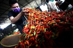 Sempat Tembus Rp 70.000/Kg, Harga Cabai Rawit Mulai Turun
