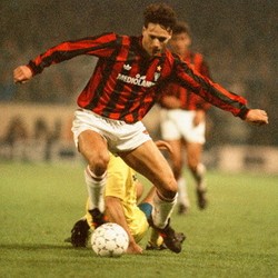 Si Angsa dari Utrecht