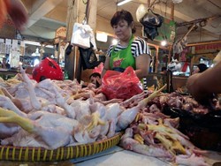 Harga Daging Sapi Mahal, Permintaan Daging Ayam Naik 50%